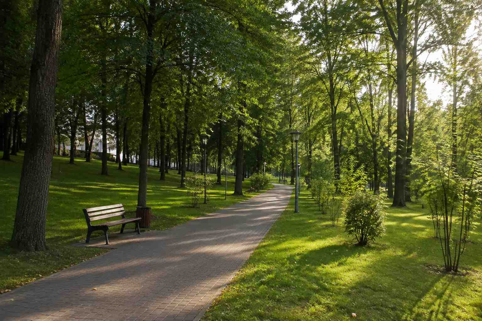 https://rostov-na-donu.blago-s.ru/storage/app/uploads/public/6a7/eef/ed2/6a7eefed2af22038960370.jpg
